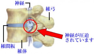 kosi_01_02